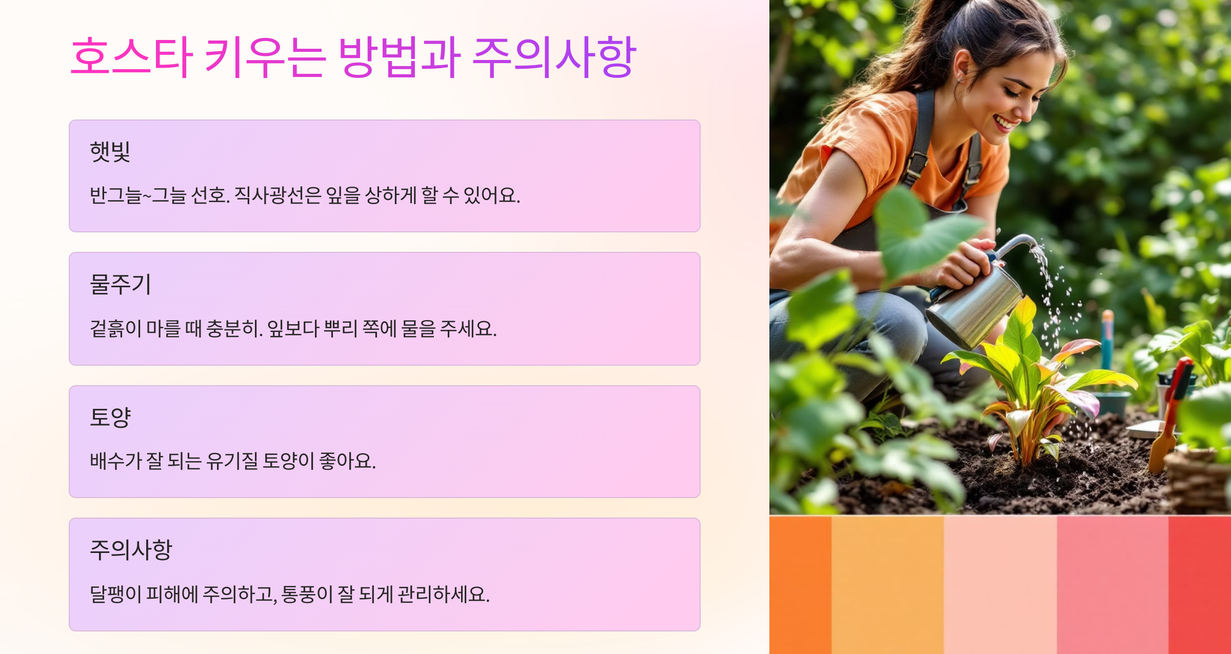 호스타