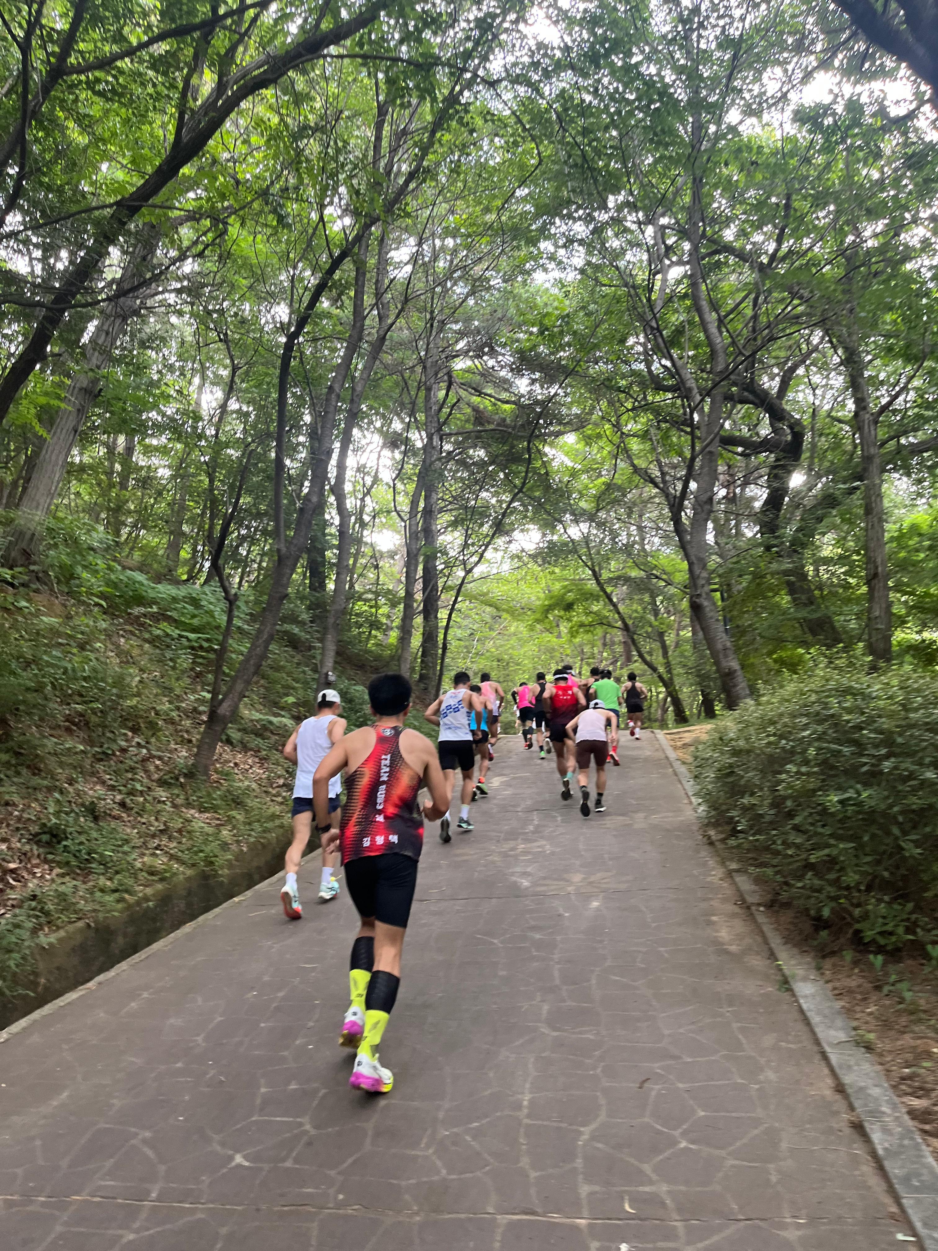 김해숲길마라톤