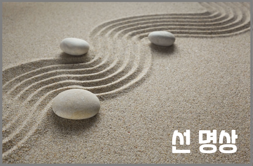 선명상 선 명상