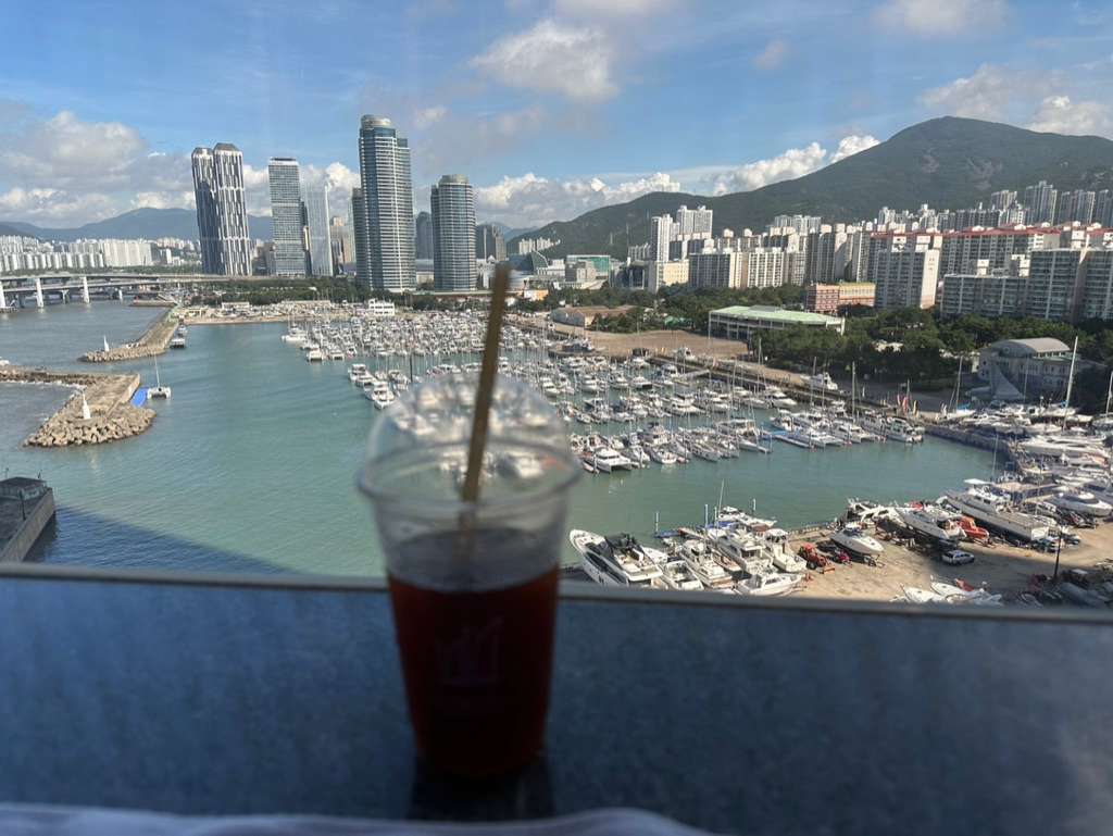 주간 요트장 뷰