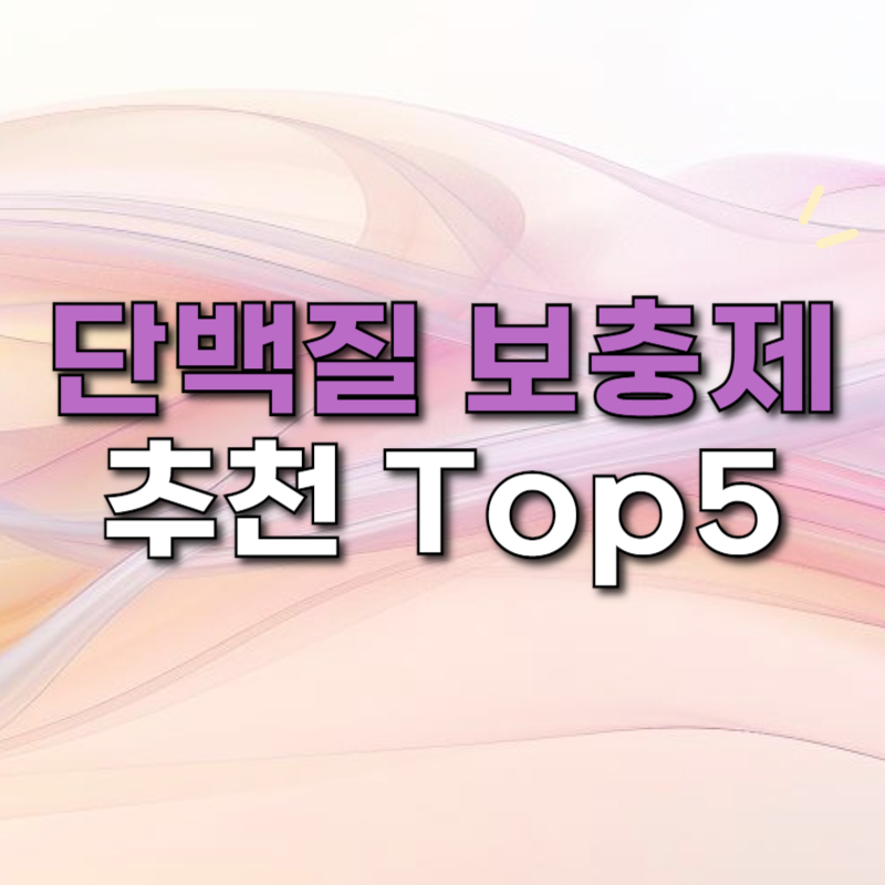 단백질 보충제 추천