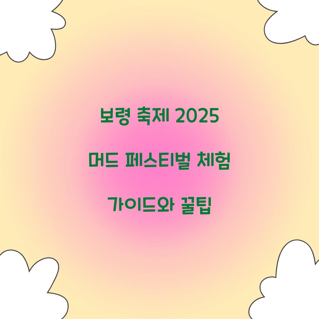 보령 축제 2025 머드 페스티벌