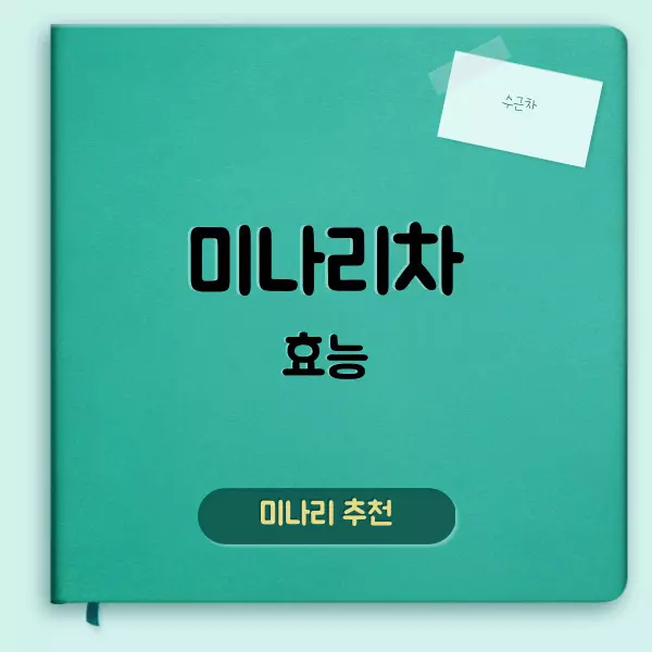 미나리차 효능
