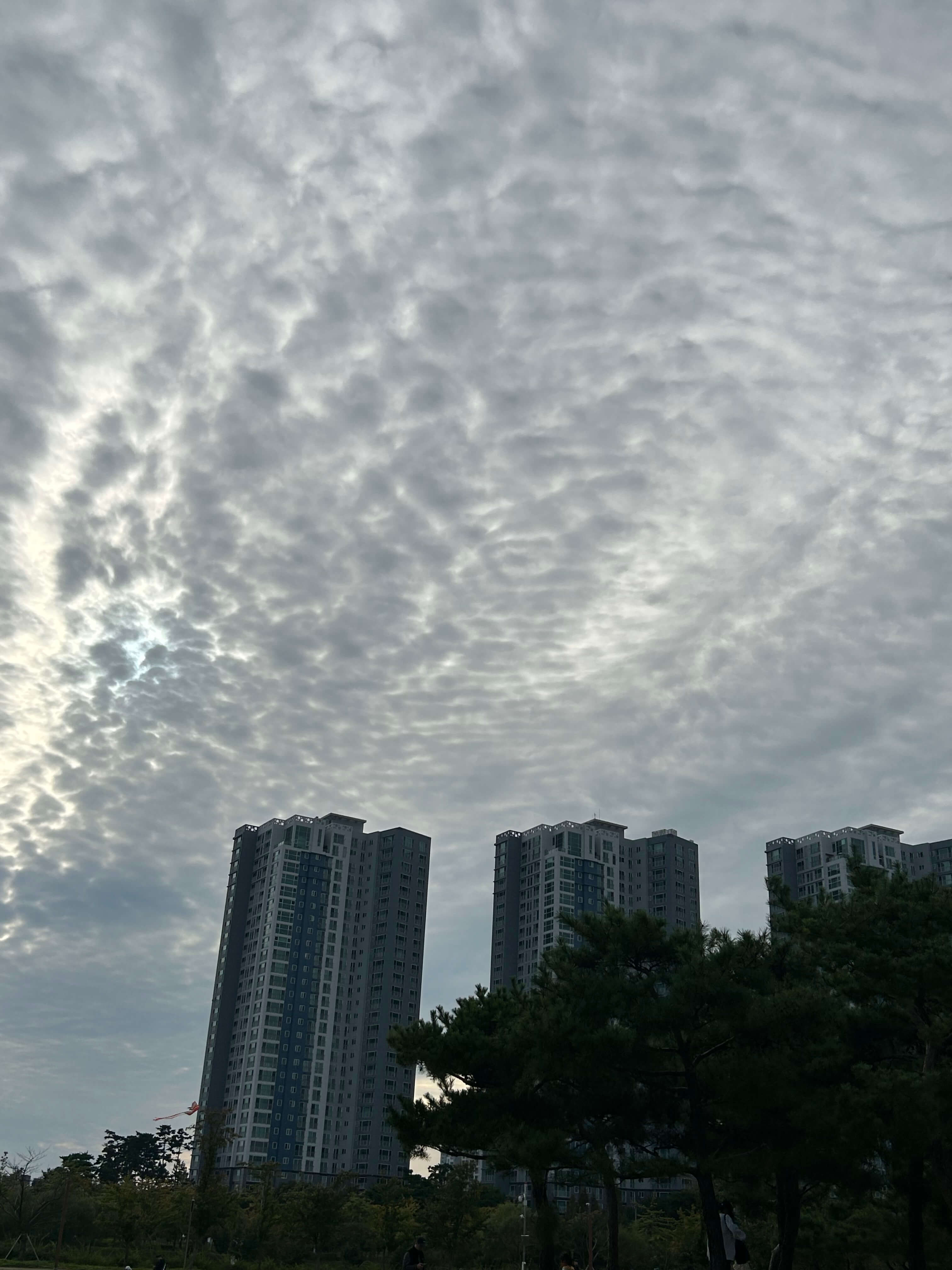 임업·산림 공익직불금