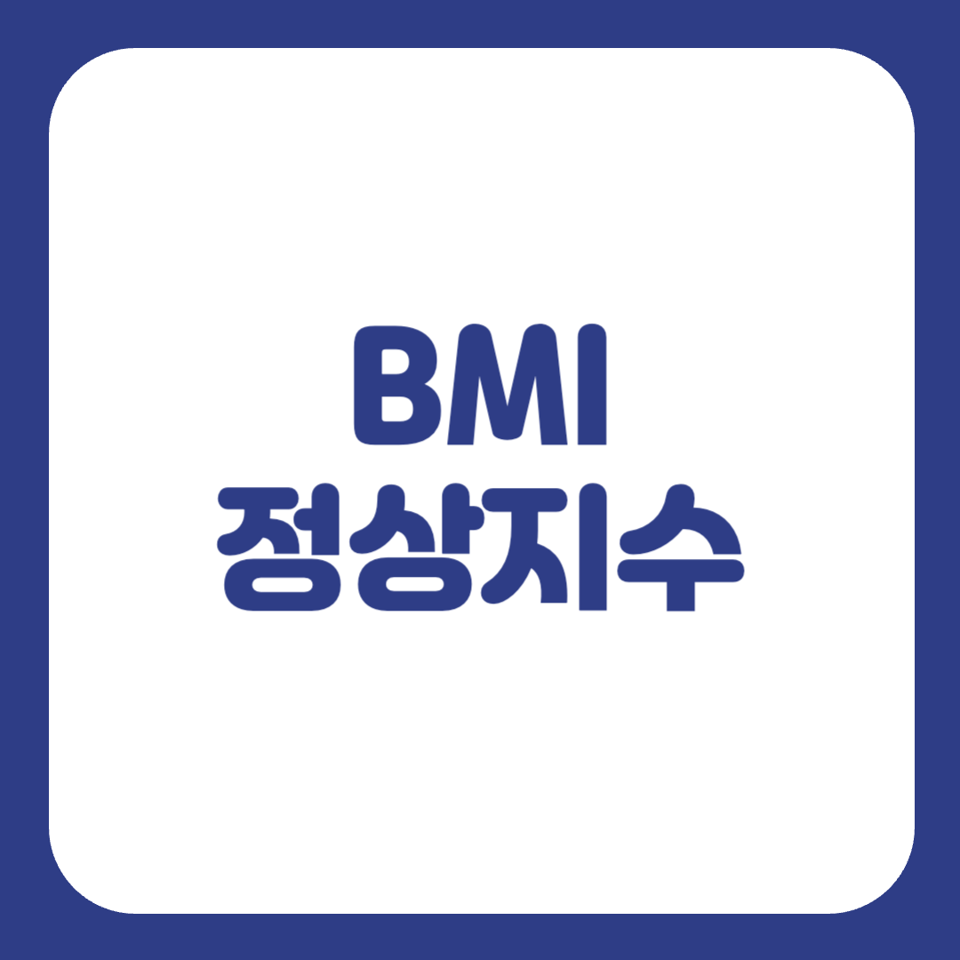 비엠아이 계산기