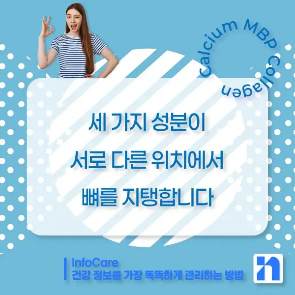 칼슘, MBP, 콜라겐 효능, 효과 비교