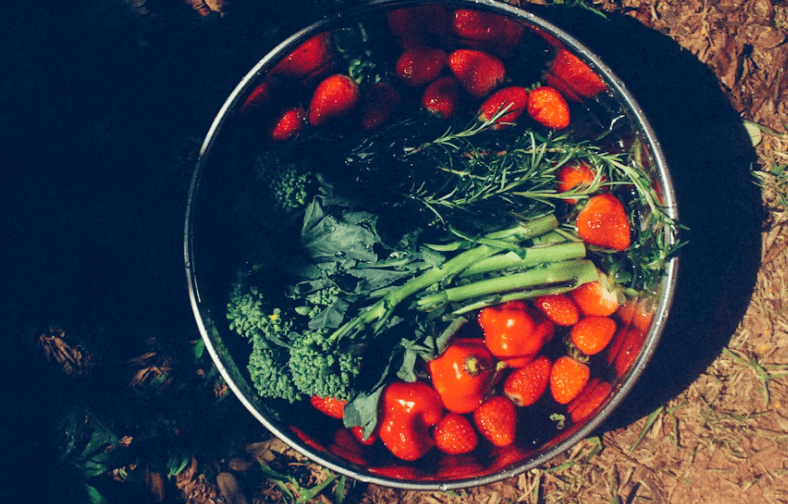 2026 농식품 바우처