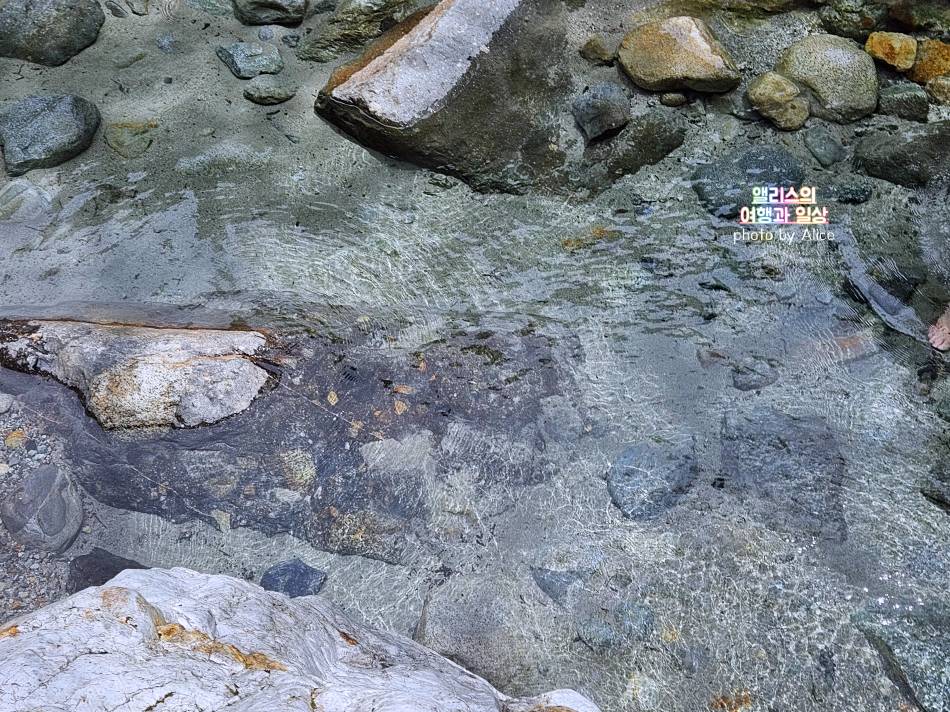 토롯코 구로베 협곡열차 가격 + 우나즈키 당일 온천 이용후기 도야마 자유여행