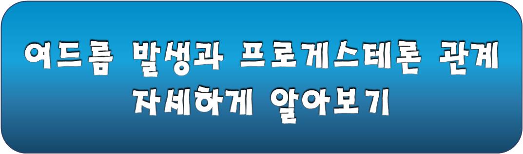 여드름 발생과 프로게스테론 관계