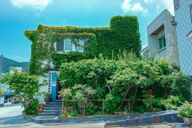 6시내고향 미술관 아귀찜 케이블카 경남 통영 문화 미식여행