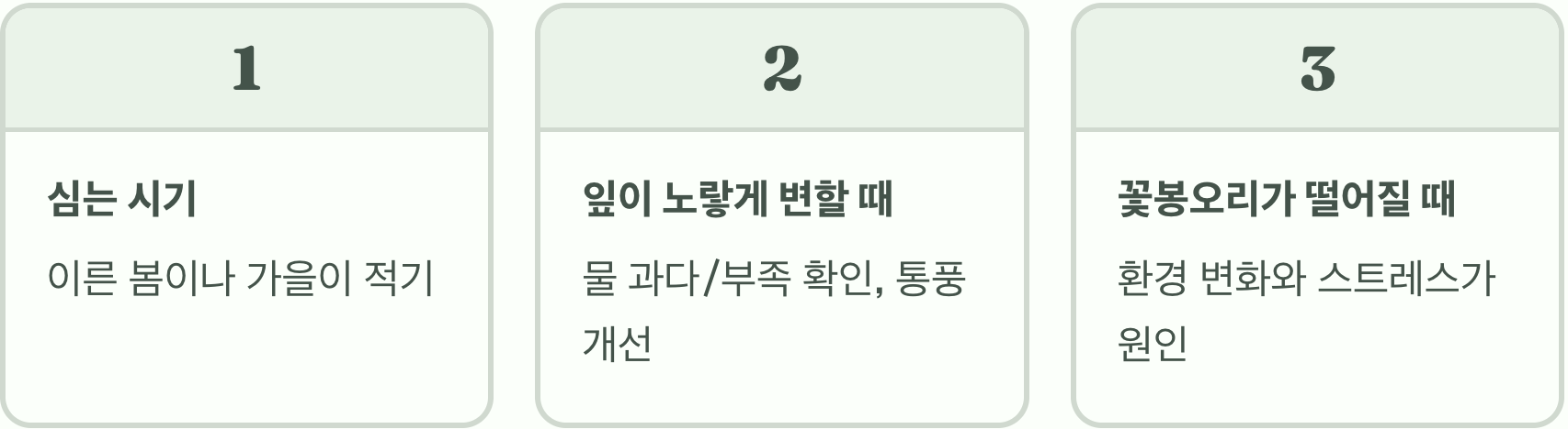 실패 없는 애기동백나무 묘목 고르는 법 (좋은 묘목의 3가지 조건)