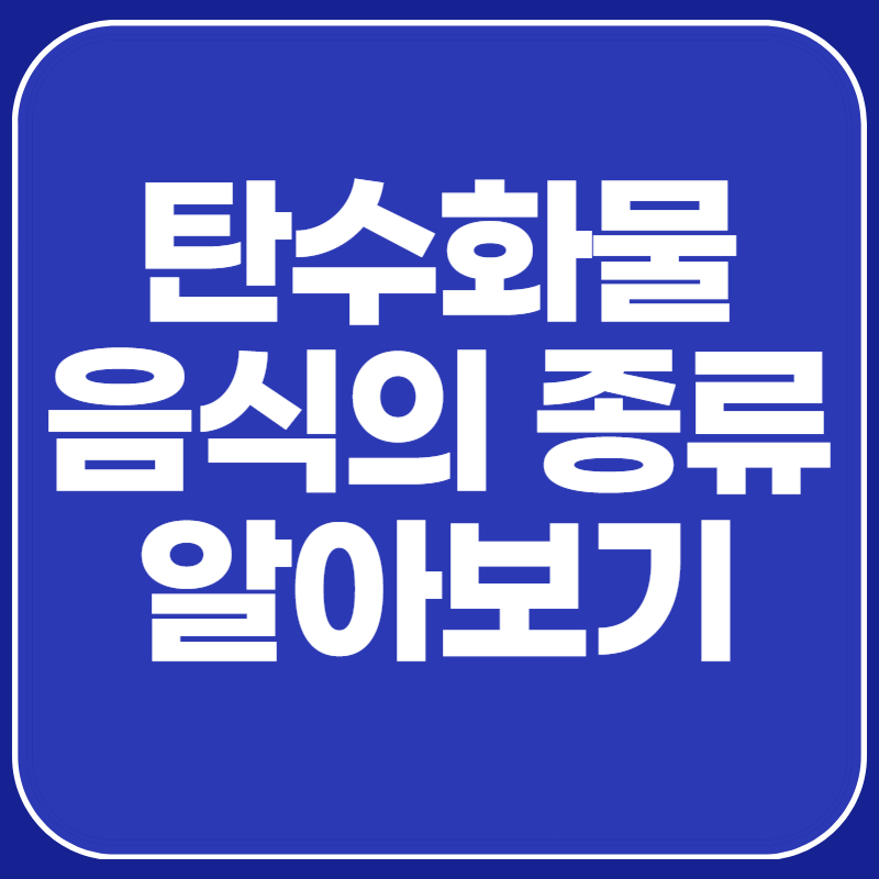 탄수화물 음식의 종류