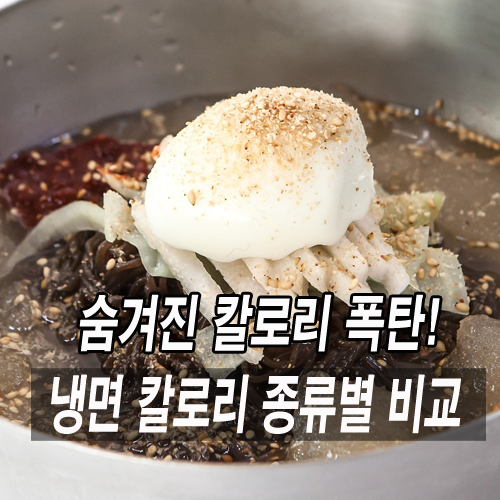 냉면 칼로리 총정리