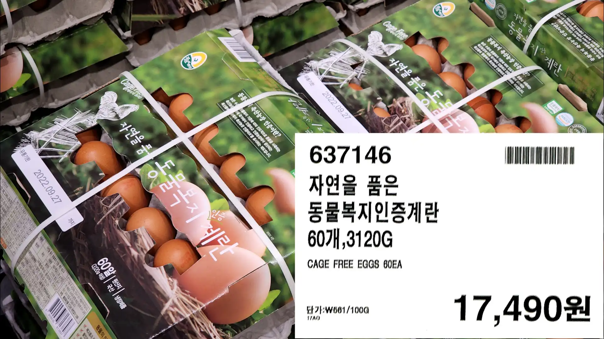 자연을 품은
동물복지인증계란
60개,3120G
CAGE FREE EGGS 60EA
17,490원