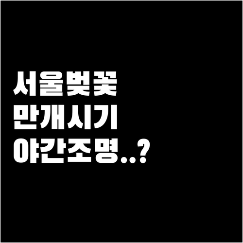 올해 서울 벚꽃 만개 시기 예상과 야..