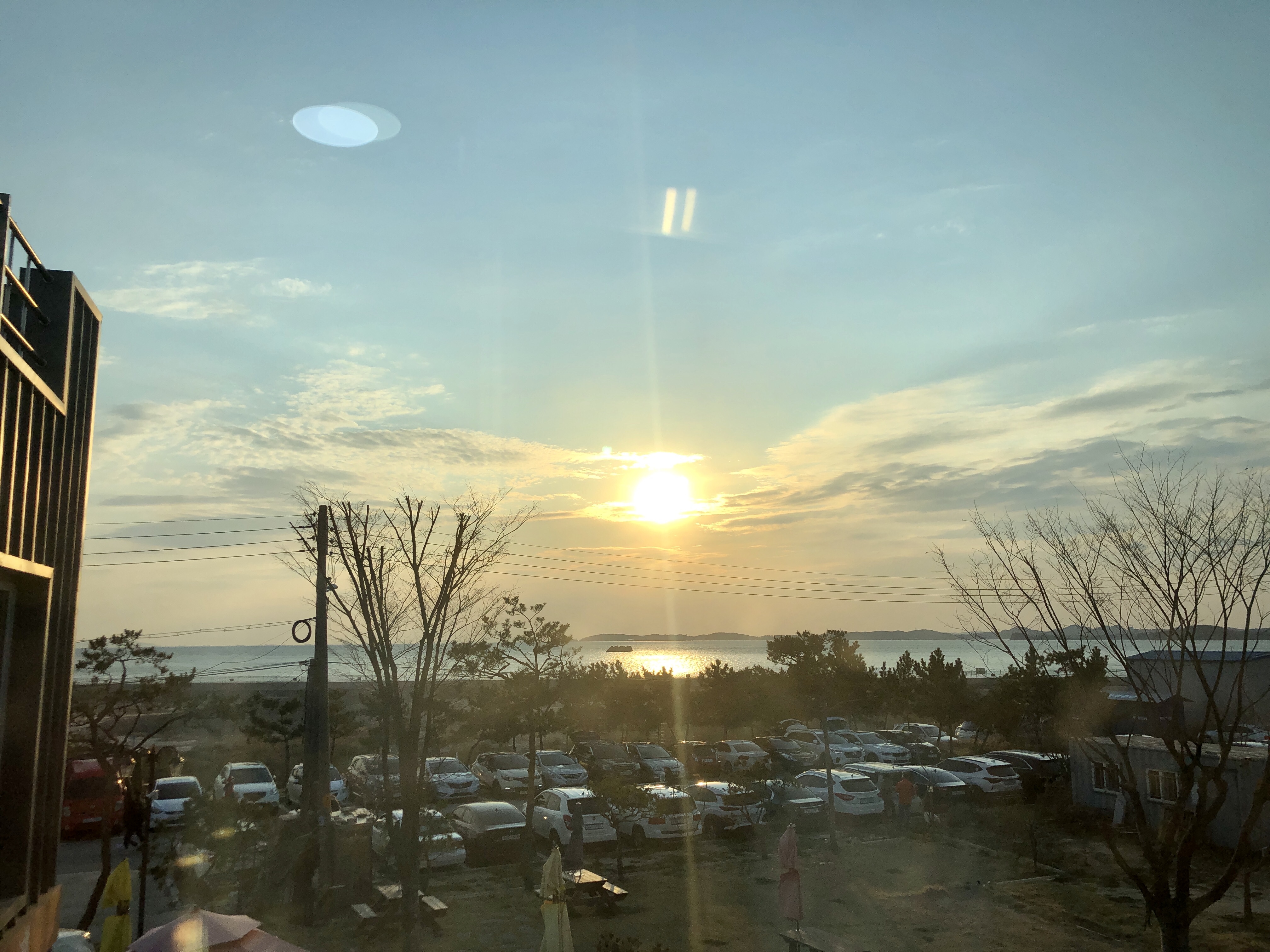 카페에서 바라본 탄도항