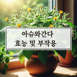 아슈와간다 효능 및 부작용