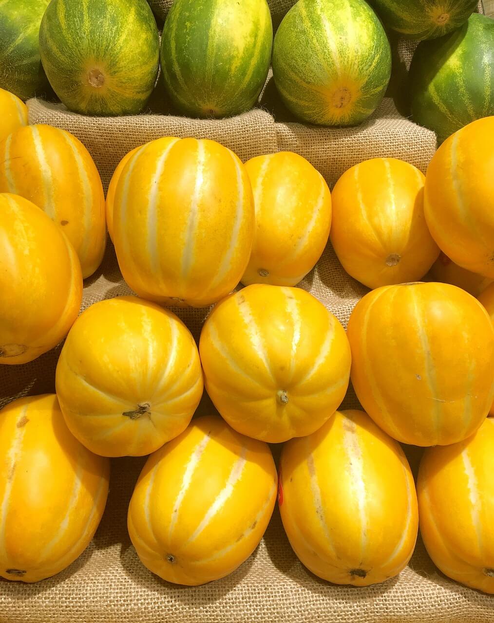참외 맛있게 즐기는 방법&amp;#44; 효능과 다양한 요리