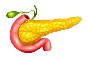 담낭-제거-수술비용