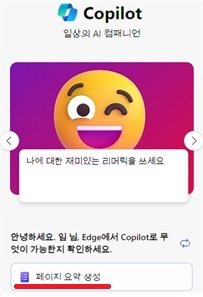 마이크로소프트 에지 / 코파일럿 페이지