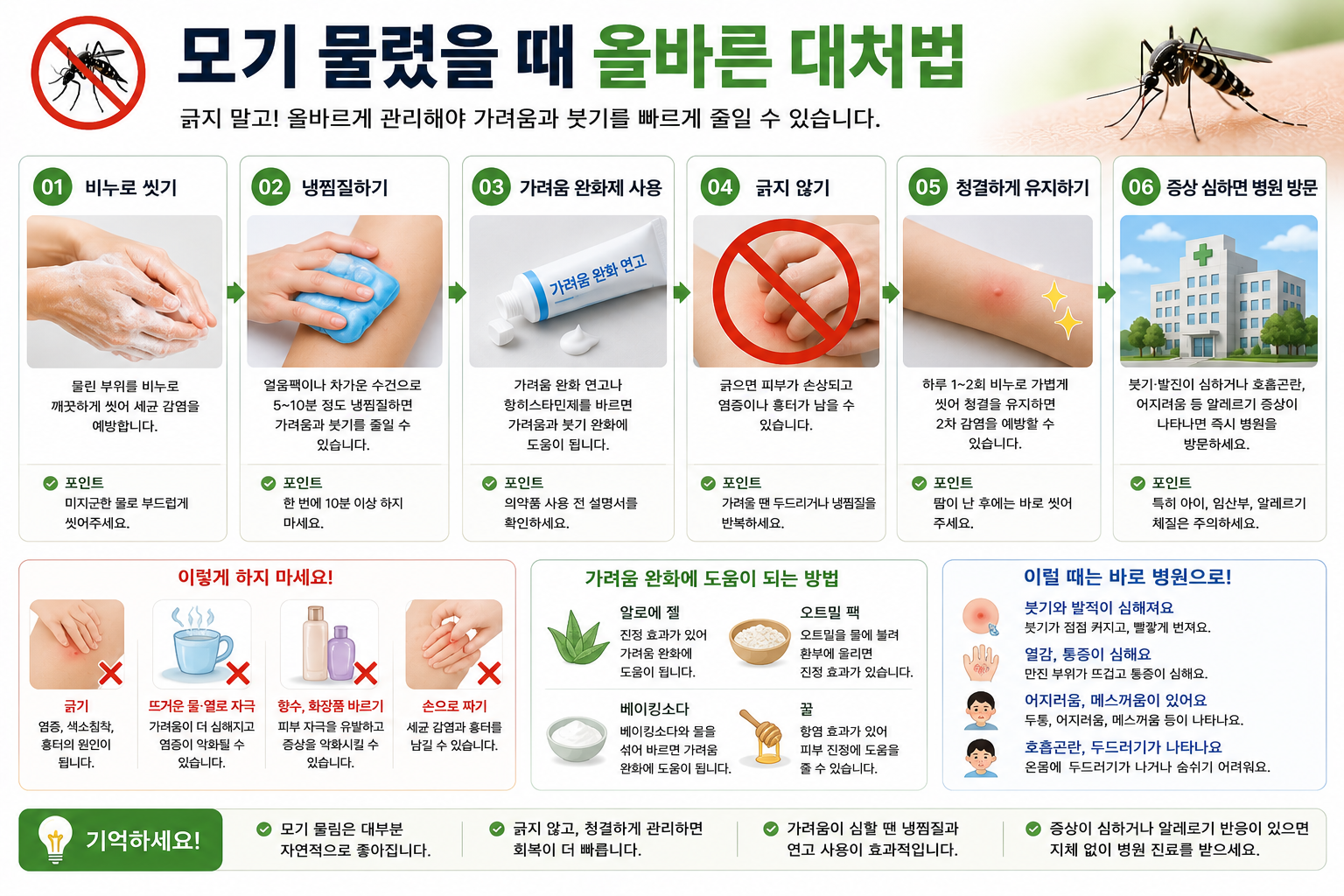 모기 물렸을 때 올바른 대처법 이미지