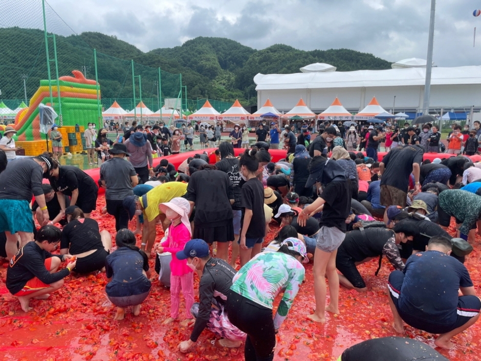 제13회 둔내고랭지 토마토 축제 기본일정과 프로그램 정리 홍진영 나태주 문희옥 영기 강설민 윤수현 박현빈 김완준 설하수 안지완 출연