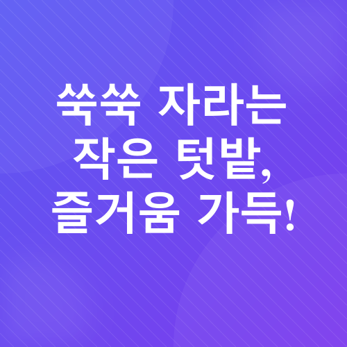 베란다 텃밭_3