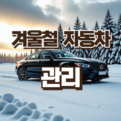겨울철 자동차 관리 팁