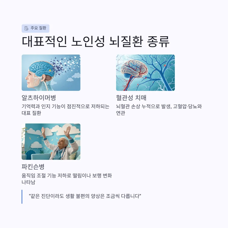 대표적인 노인성 뇌질환 종류와 특징 설명