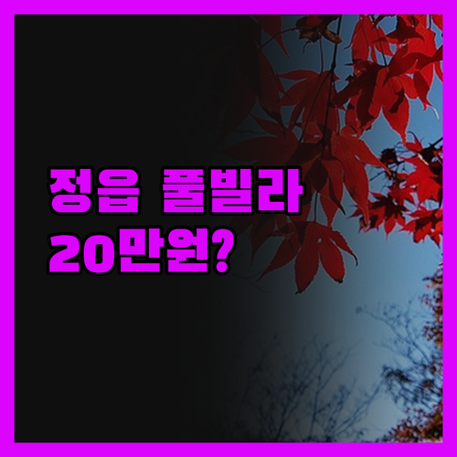 정읍 엘리스테이 풀빌라&리조트 20만