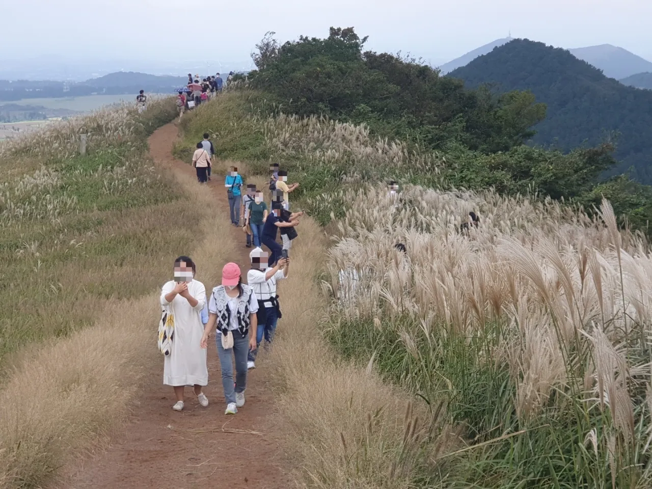 제주 새별오름 오르기 좋은 시간과 주변 명소 정리_4