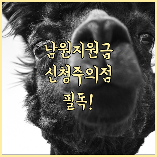 남원시 민생지원금 신청 시 주의사항 ..