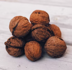 호두 효능과 부작용 하루섭취량 먹는방법 고르는법