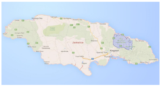 자메이카 커피생산지