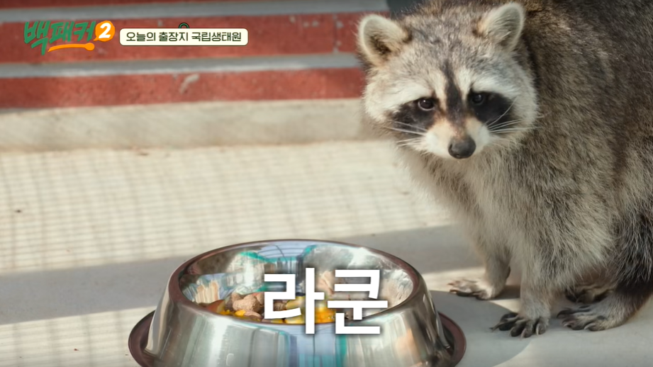 서천 국립생태원 예약 입장료 숙소 맛집