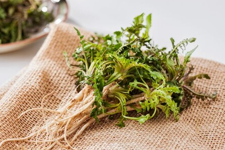 냉이-면역력-봄나물