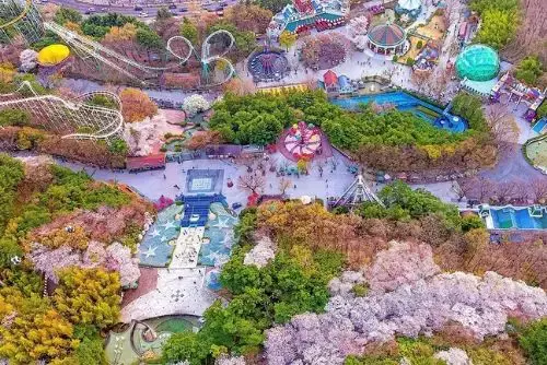 이월드 별빛 벚꽃 축제 모습사진