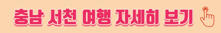 서천 동백꽃 주꾸미 축제
