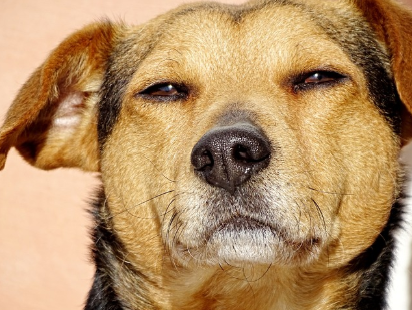 사람들과 있으면 피곤한 이유