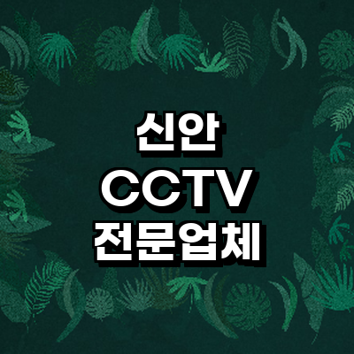 신안군 cctv