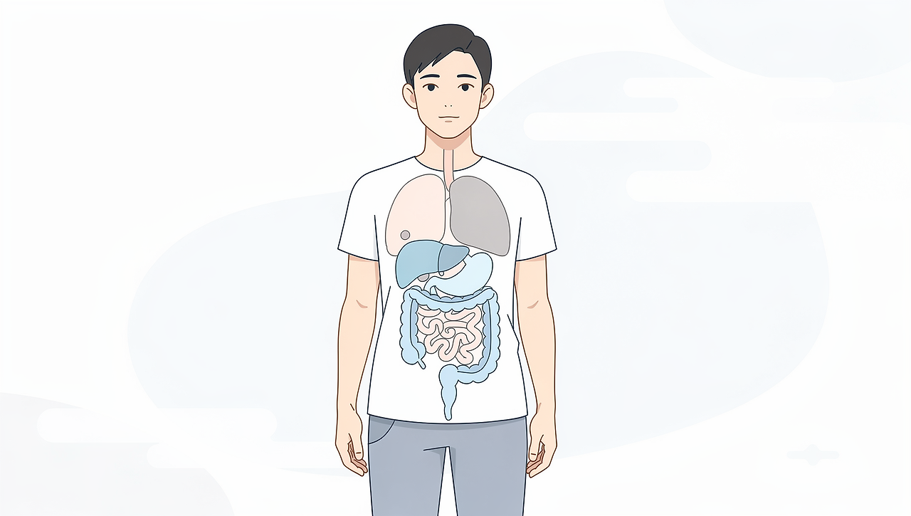 내장지방레벨-뜻-수치-1-2-3-5-7-9