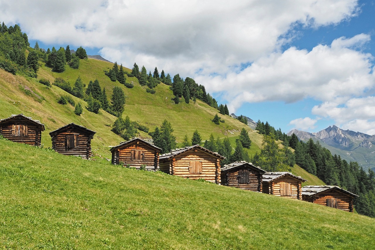 농업경제학 : 농업 종사자의 복지 정책이 경제적 생산성에 미치는 영향