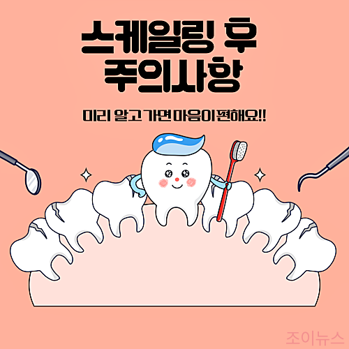 스케일링 후 주의사항, 식사 흡연 음주 언제부터?