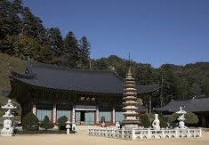 불화 감상 가능한 사찰 여행지 (사찰미술, 조선불화, 문화유산)