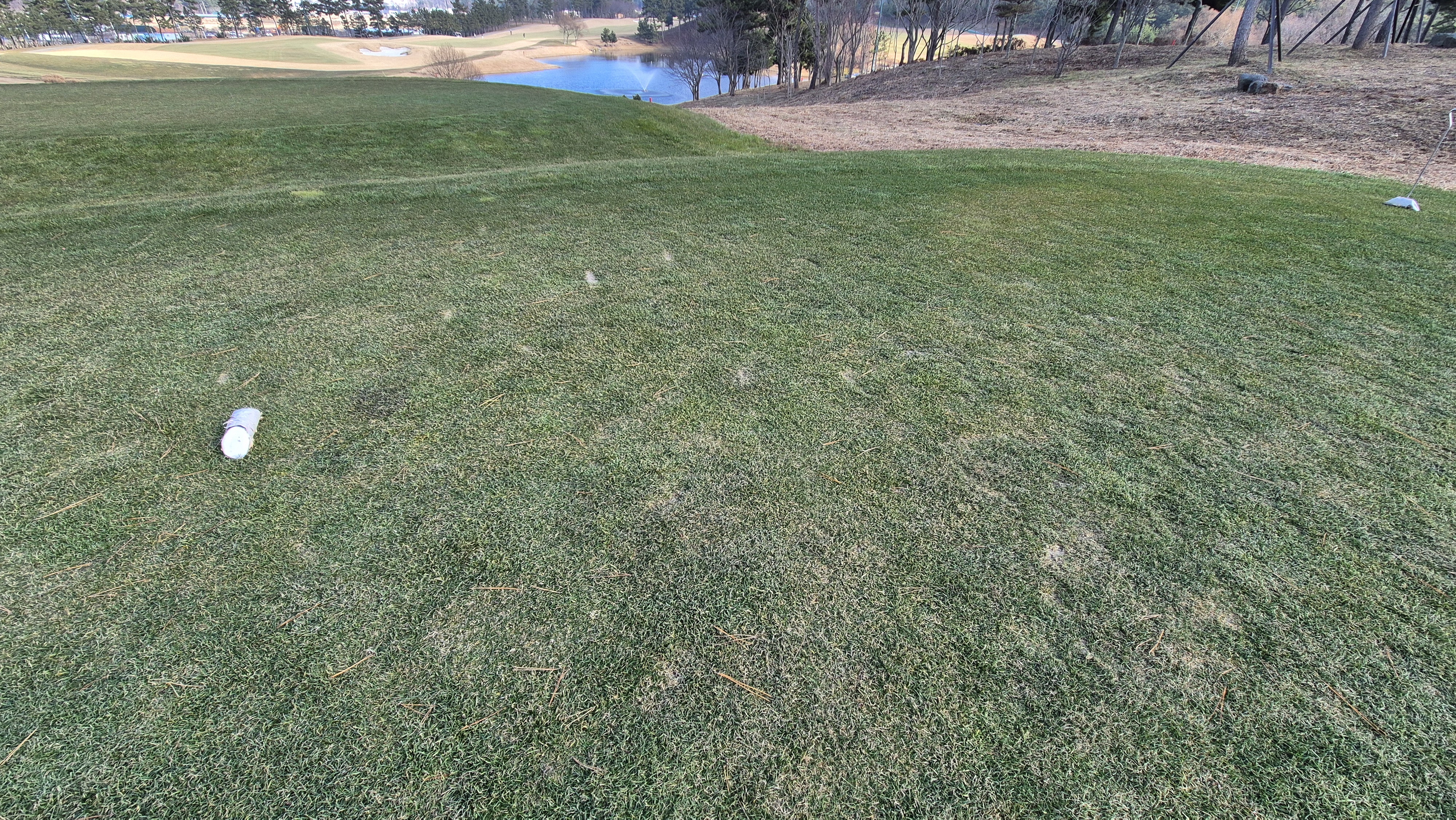 더헤븐cc 사우스-웨스트 코스 티잉구역 상태