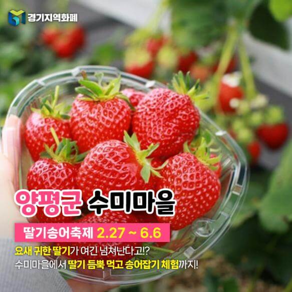 경기도 6월 ~ 7월 축제 [연인과 가기 좋은 곳]