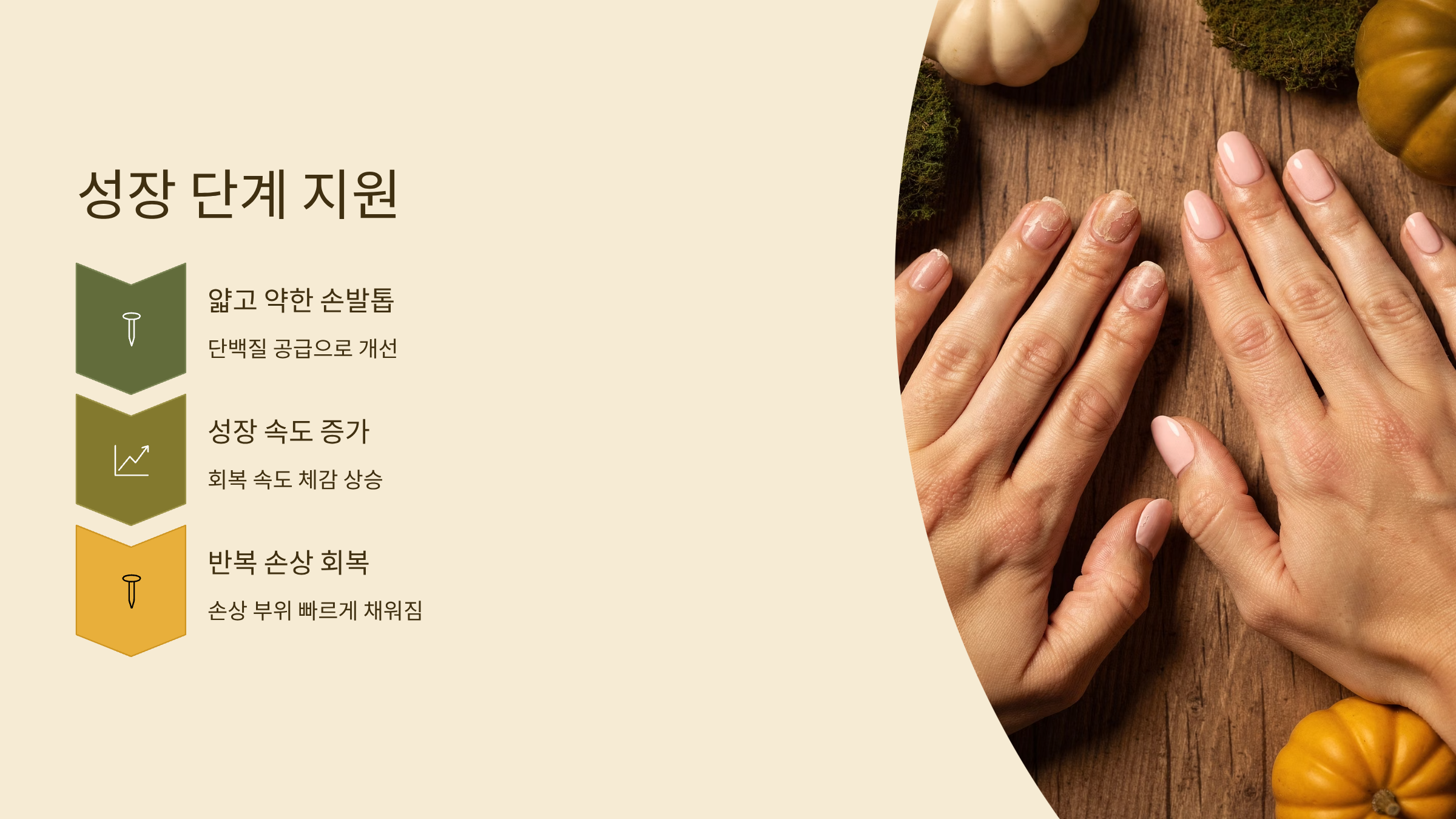 케라넷 회복 속도 증가