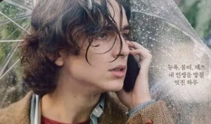 레이니 데이 인 뉴욕 이미지