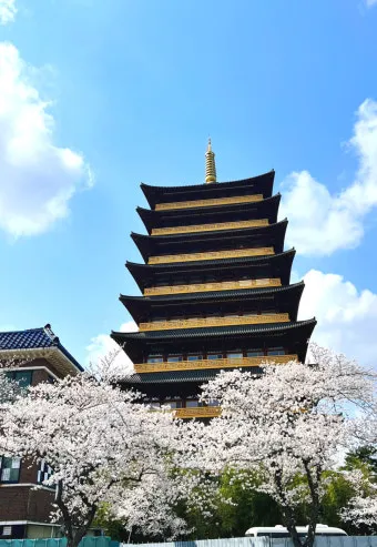 경주 가볼만한곳 베스트 10 역사 여행과 문화유산 탐방_18