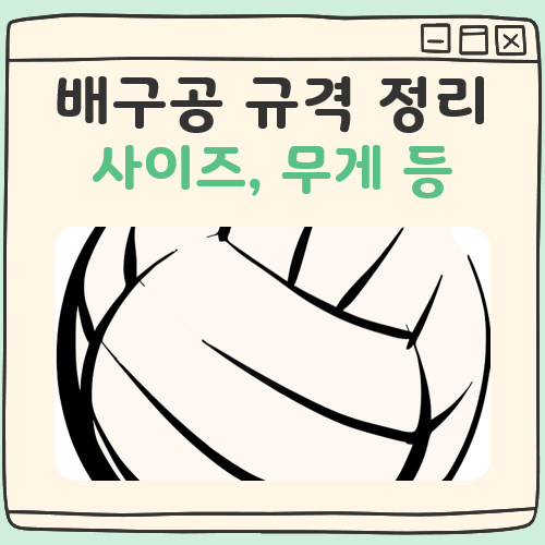 배구공 규격 알아보기(사이즈, 공기압, 무게 등) 대표 이미지